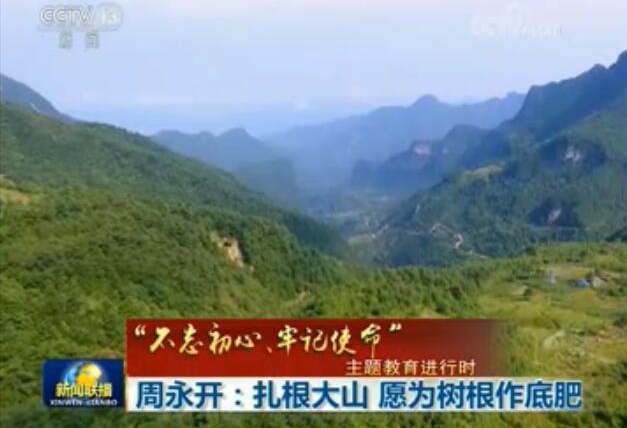 周永開：扎根大山 愿為樹根作底肥